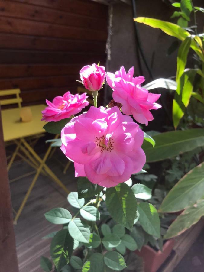 Chambre1 Residence Beauregard Koungou Dış mekan fotoğraf